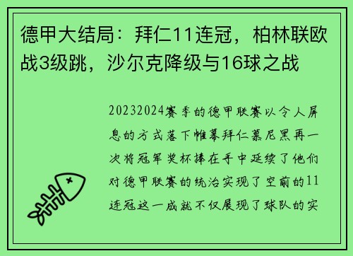 德甲大结局：拜仁11连冠，柏林联欧战3级跳，沙尔克降级与16球之战