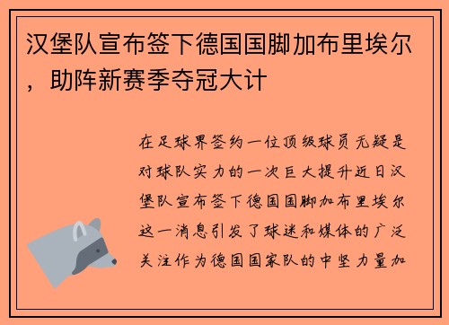 汉堡队宣布签下德国国脚加布里埃尔，助阵新赛季夺冠大计