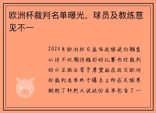 欧洲杯裁判名单曝光，球员及教练意见不一